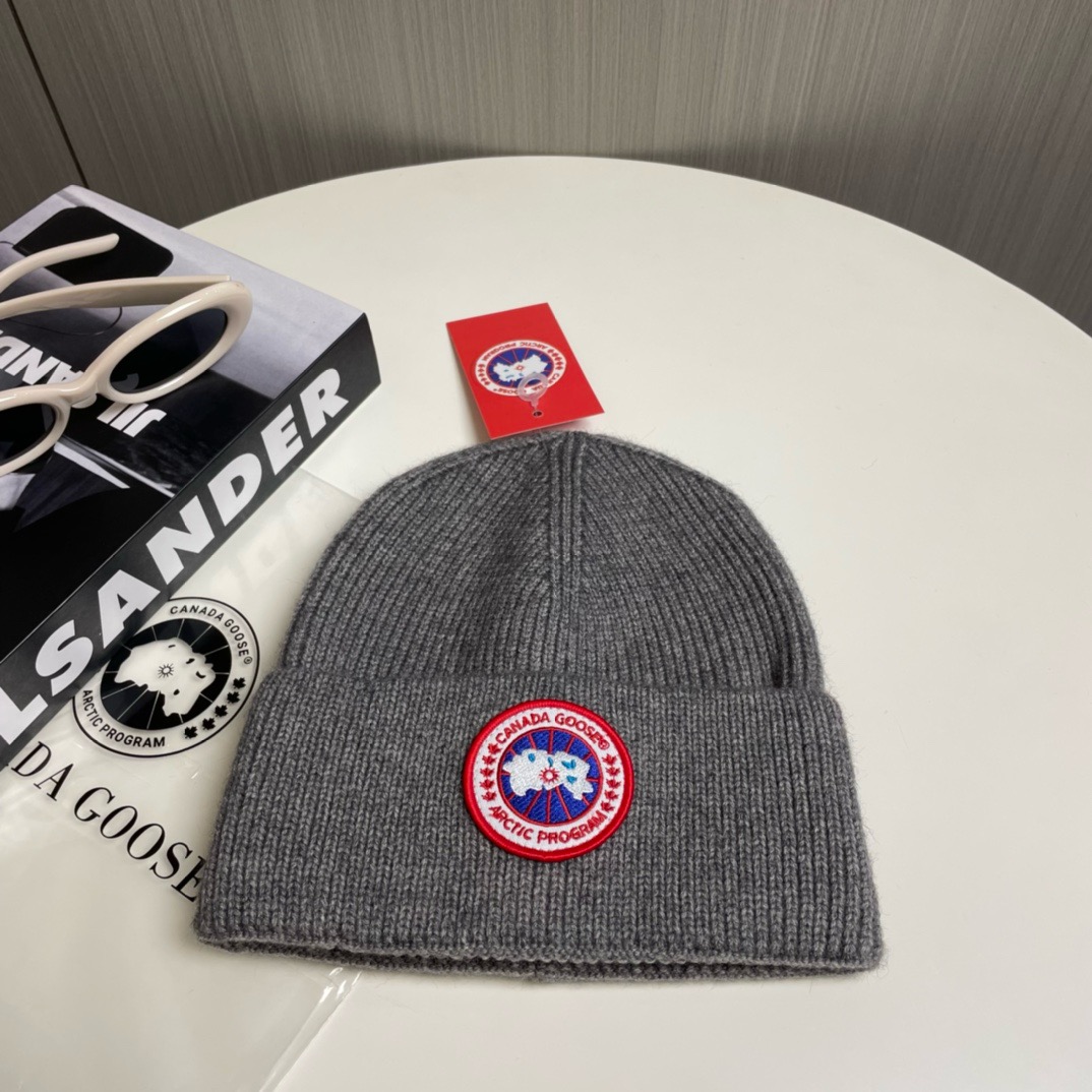 IMG_3110.jpeg Canada Goose - Image 1