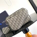 Dior Saddle Triple Pouch