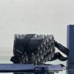 Dior Saddle
